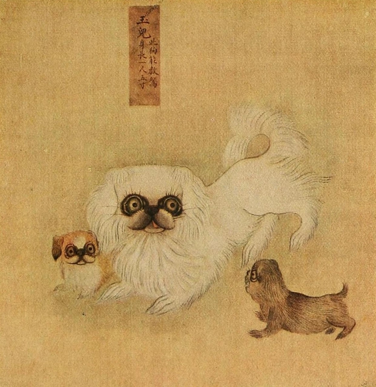 ancient painting of white female pekingese with sable color puppies