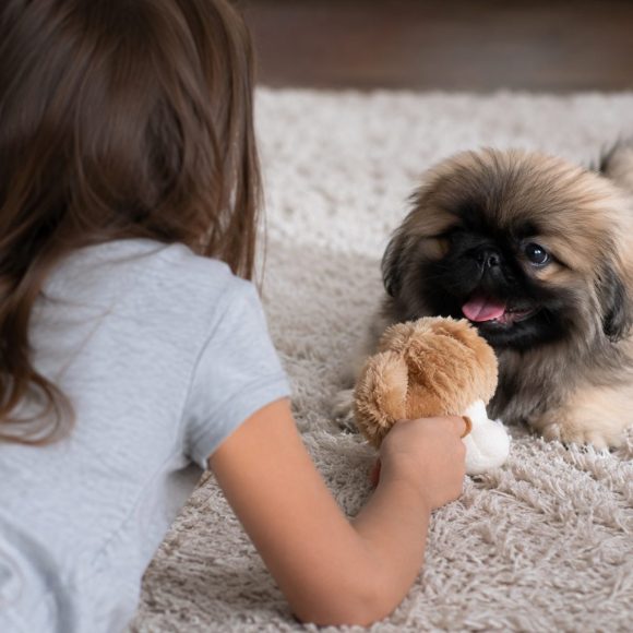 peke_and_little_girl